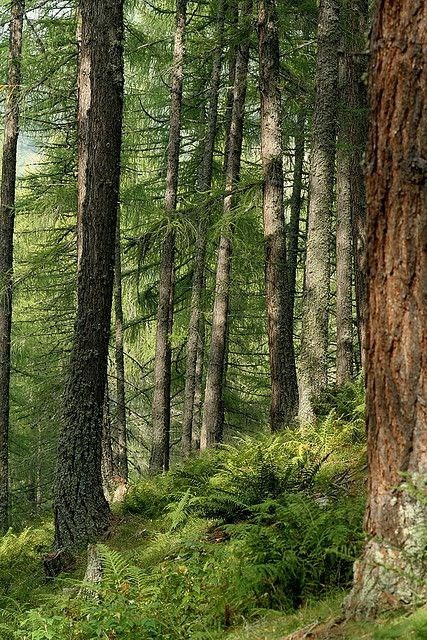 Obituary of Jake Anthony Wrucha