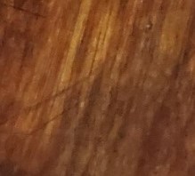 Albert Eugene Allen Obituary - Houston, TX