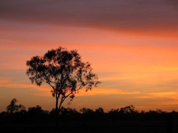 Obituary of Peter James Hughes