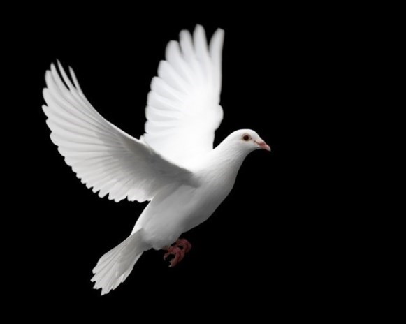 Obituary of Roderick Brian Hobbs