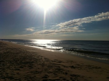 Obituary of Ann Egan