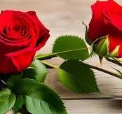 Obituary of Martin John Howard Jr.