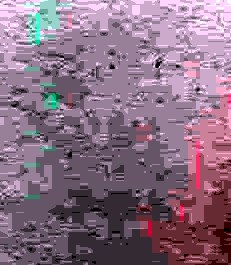 Michael Ravitch Obituary - Henderson, NV