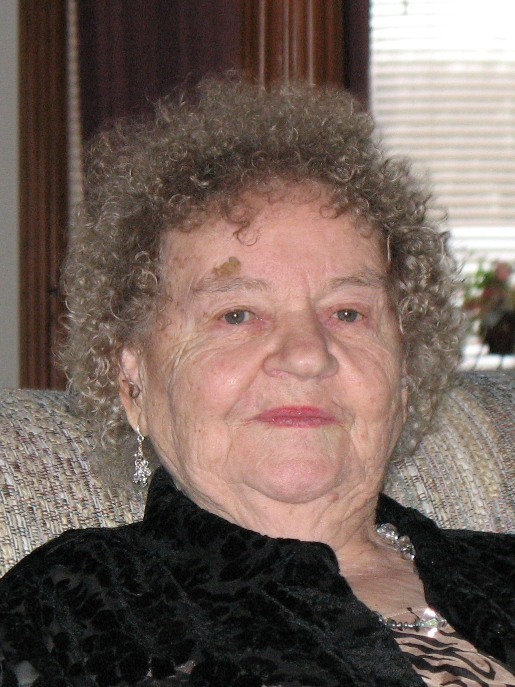 Luba Evans Obituary Fort Wayne, IN