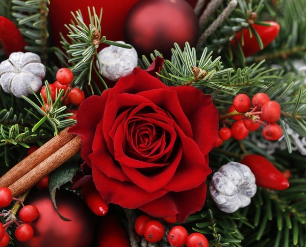 Avis de décès de Sandra Nanette Miraglia