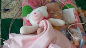 Obituary of Annmarie Paris Povich