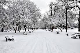 Obituary of Maureen Patrice Cunningham