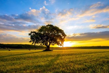 Obituary of Leonard Logan Janke