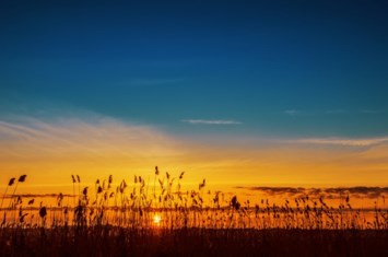 Obituary of Scott Livermore