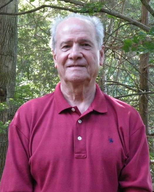 Obituary of Louis Vella