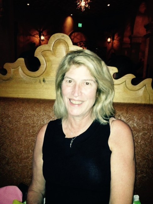 Obituary of Amy Louise Carter