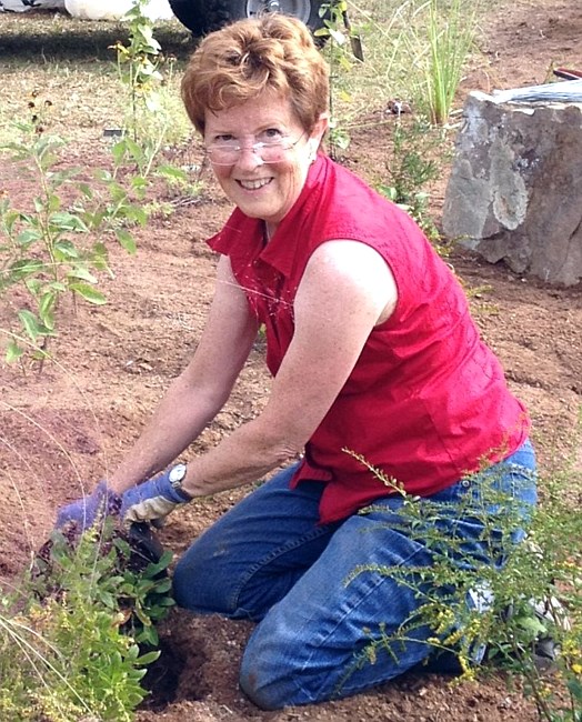 Obituary of Sandra H Golden