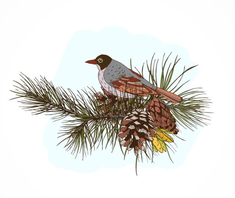 Obituary of John Elms