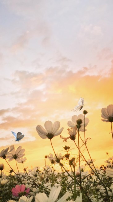 Obituary of Charlene Berdine Campbell