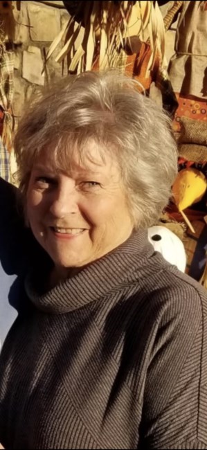 Obituary of Sue Ann Lewis