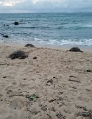 Obituary of Roland Lee Tanner