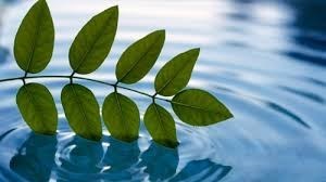 Obituary of Charles "Chuck" Cote