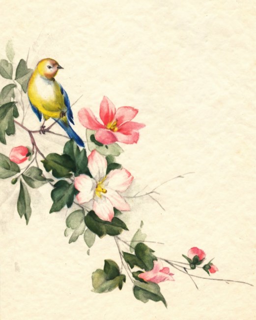 Obituary of Ronald Peter Villa