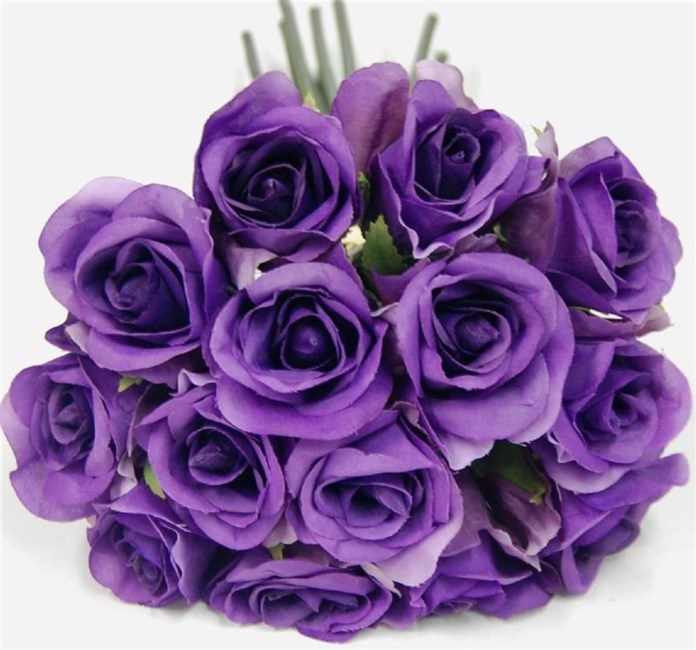 Obituary of Gloria Fox