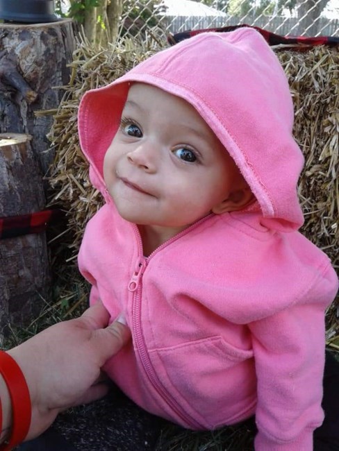 Obituary of Carli Anne Kitzler