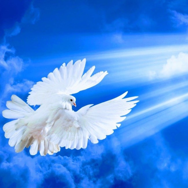 Obituary of Joyce B. Smith