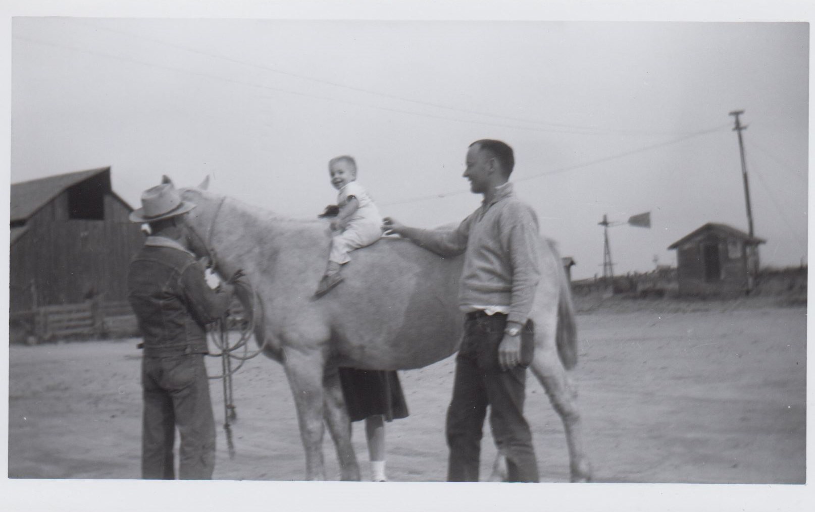 Peters stocks gerald