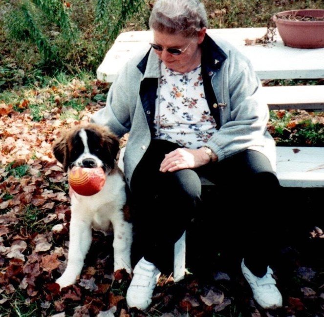 Obituary of Ilene Evelyn Hoitt