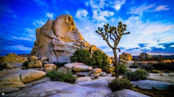 Obituary of David Leroy Larson