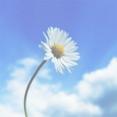 Obituary of Catalina R. Ibarra