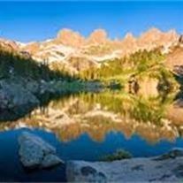 Obituary of Preston Carl Ellis