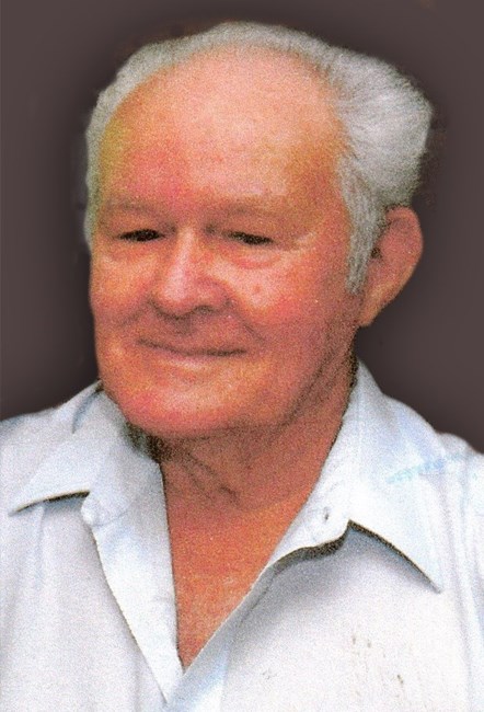 Obituary of Billy Joe McAmis