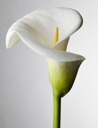 Avis de décès de Jorge Alberto Martinez