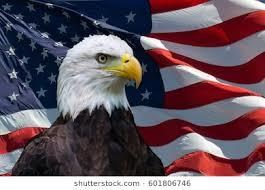 Obituary of Mr. Frank W. Paul