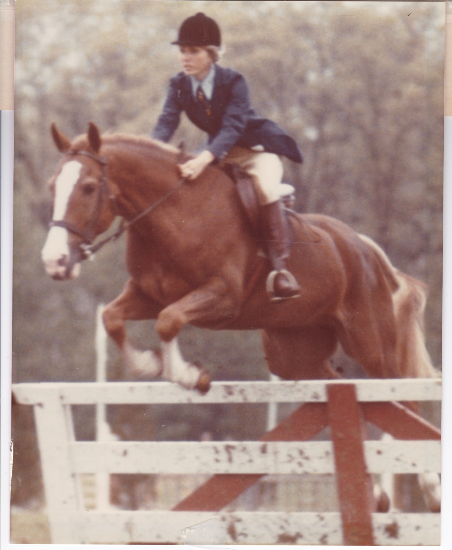 Obituary of Karen Frances Cancelmo