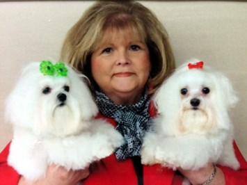 Obituary of Kathy Mercer Stewart