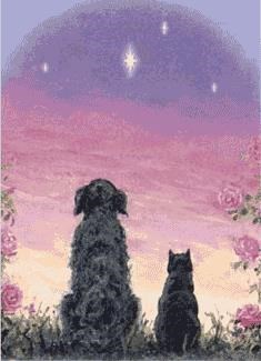 Obituary of Deborah Lenora Bell