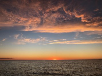 Obituary of Shelley Weiss Borak