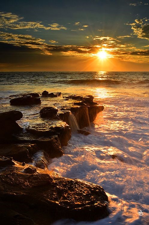 Obituary of Peter J. McLaughlin