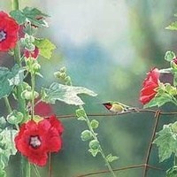 Obituary of Edwin E. Starnes