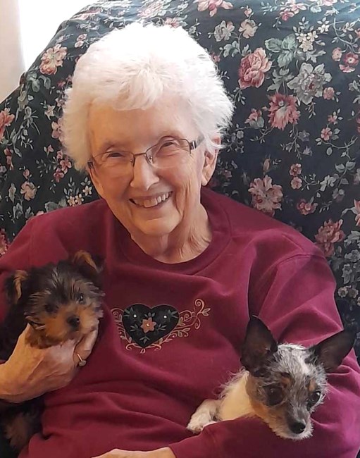 Obituary of Carol Anne Preston