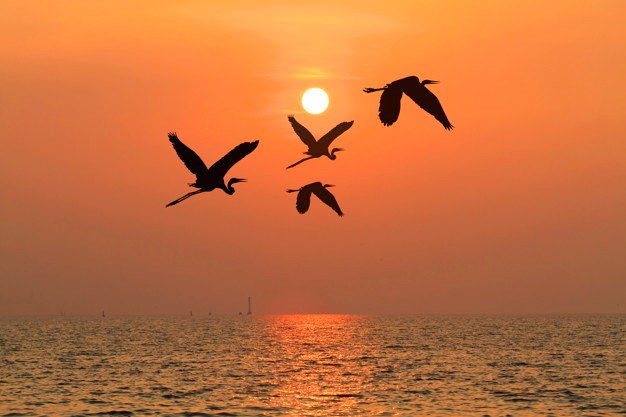 Obituary of Robert Bernard Carpenter