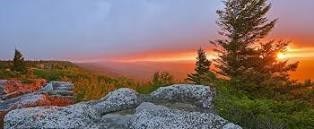 Obituary of Winston Lee Scaggs