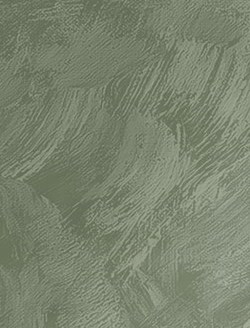 Michele Jones Obituary - Austin, TX