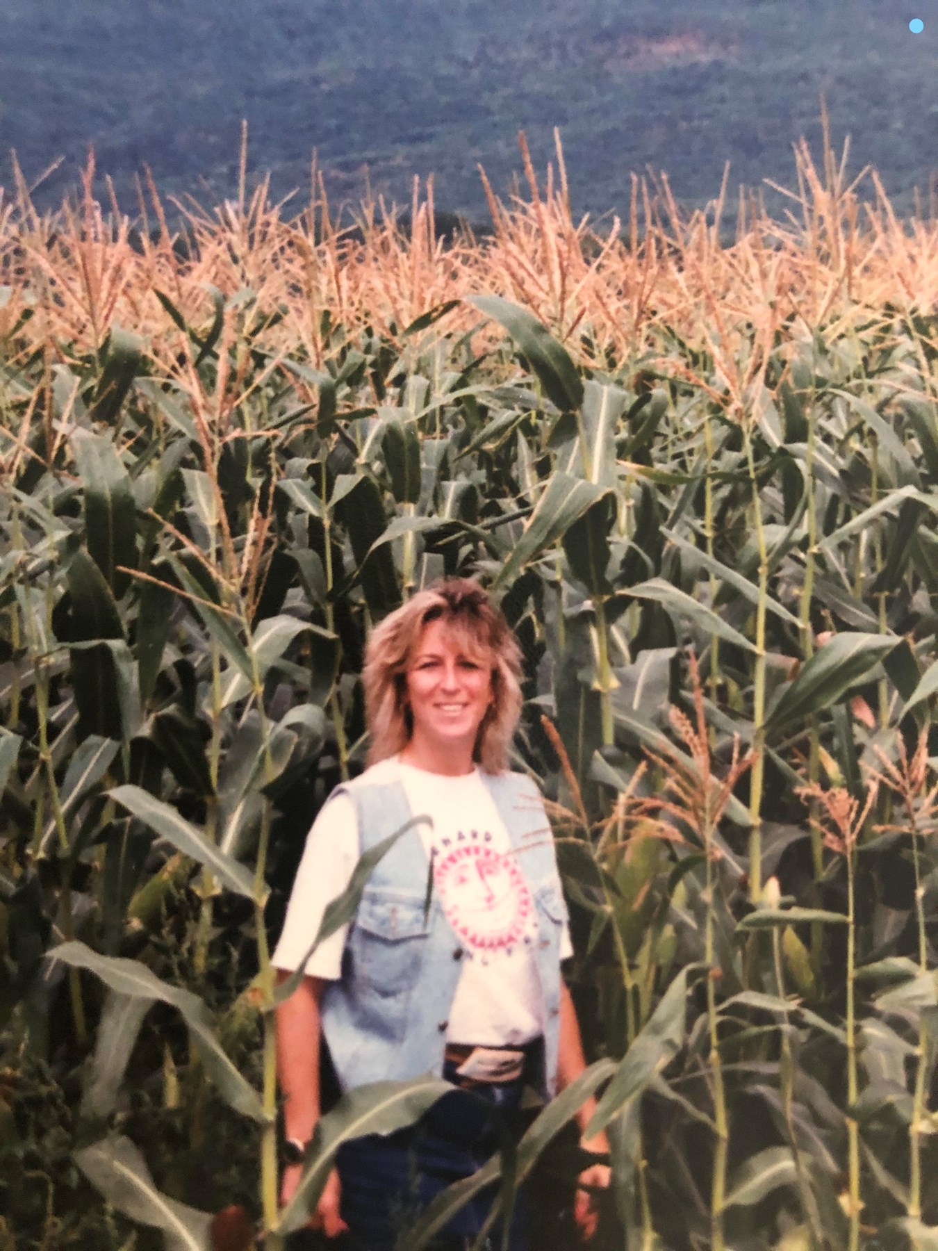 Obituary of Sandra Nancy Pope-Budge