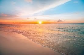 Obituary of Joan Lenore Lewis