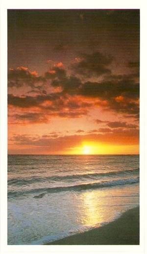 Obituary of Jacqueline Joy Testa