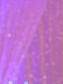 Edward Reyes Obituary - Chicago, IL