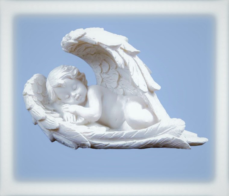 Obituary of Jaxx Franklin Vanourny