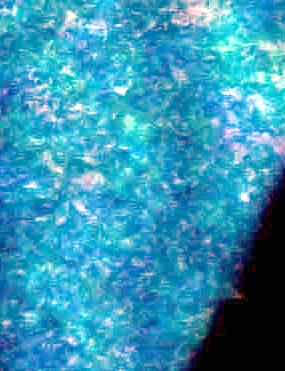 Vivien Rasmussen Obituary - Oak Lawn, IL