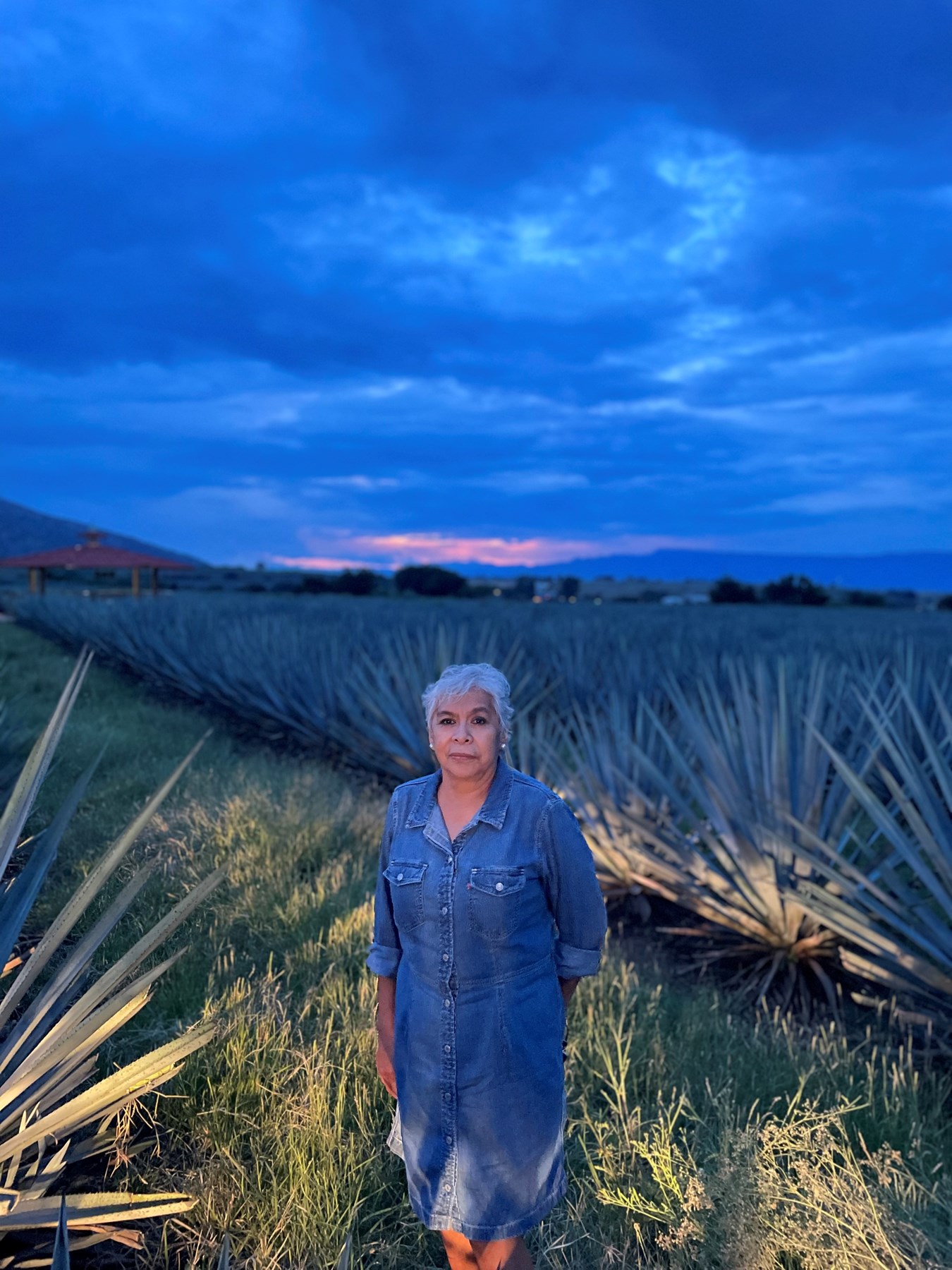 Obituario de Rebeca Vazquez